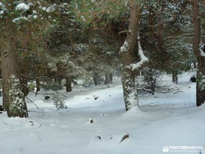 Cerro Perdiguera-Cuerda Vaqueriza; fotos de sierra de cazorla viajes cristal de roca fotos cerezos